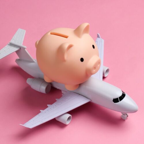 Sparschwein auf einem Flugzeug